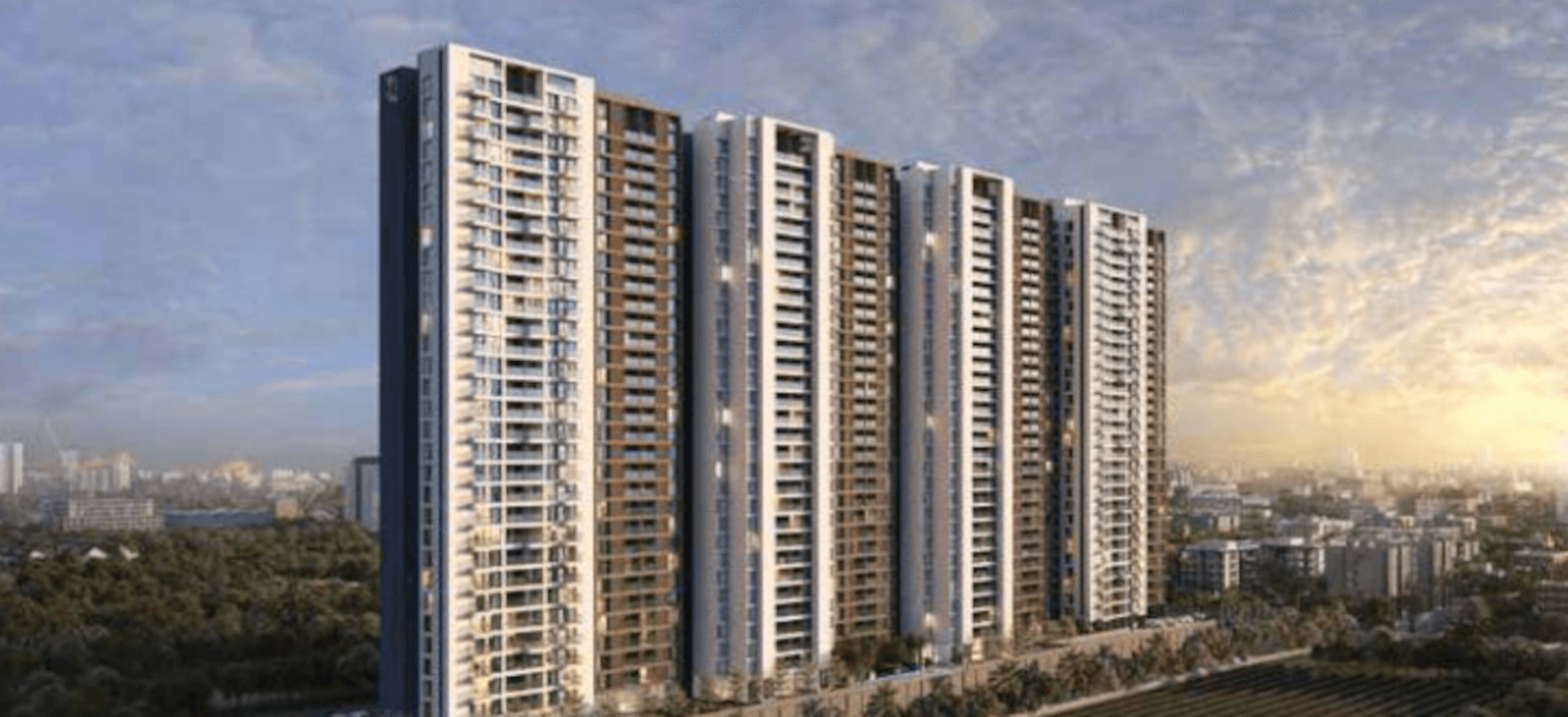 the-canary Elevation