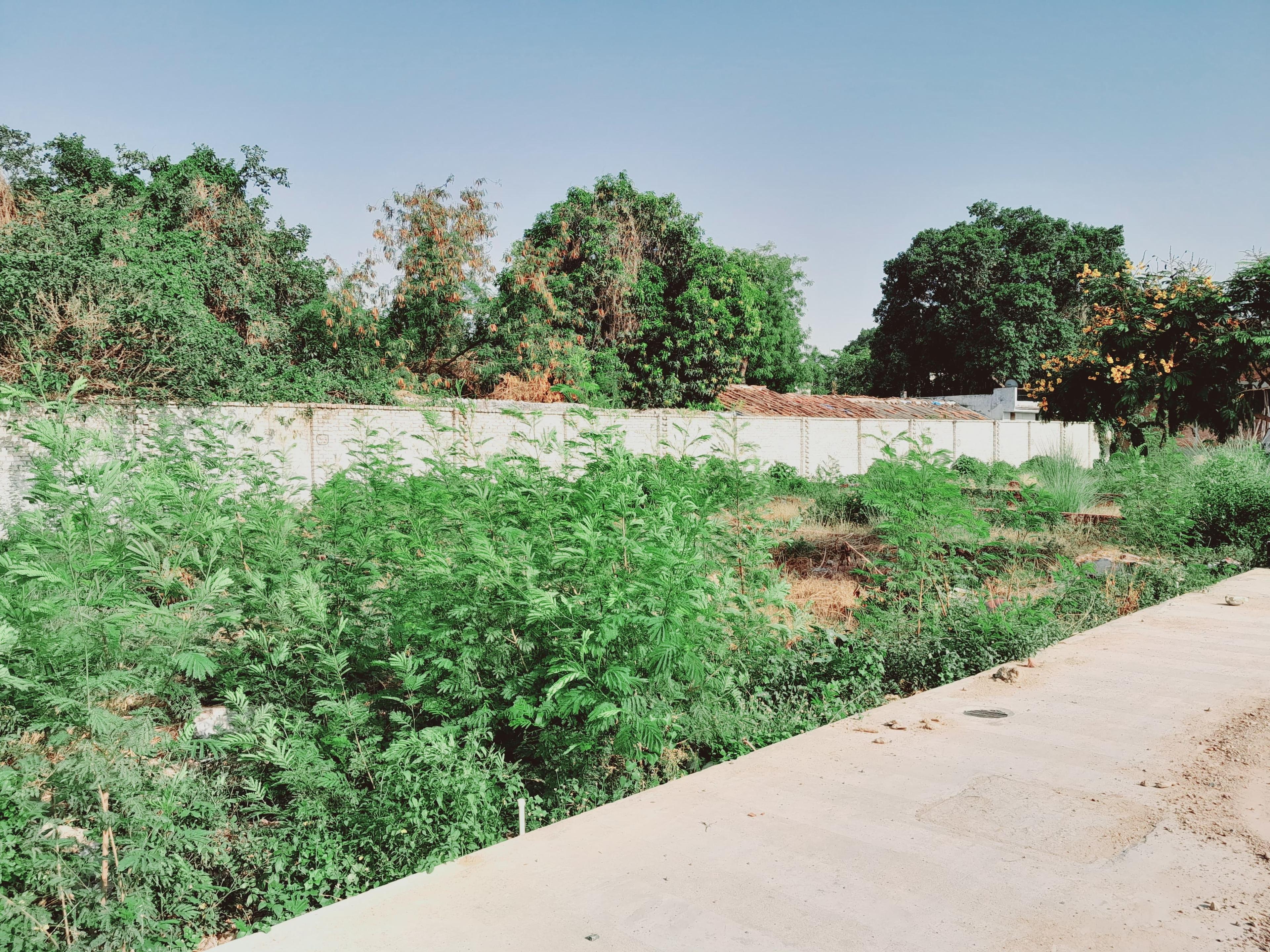 vrindavan-vihar Plot