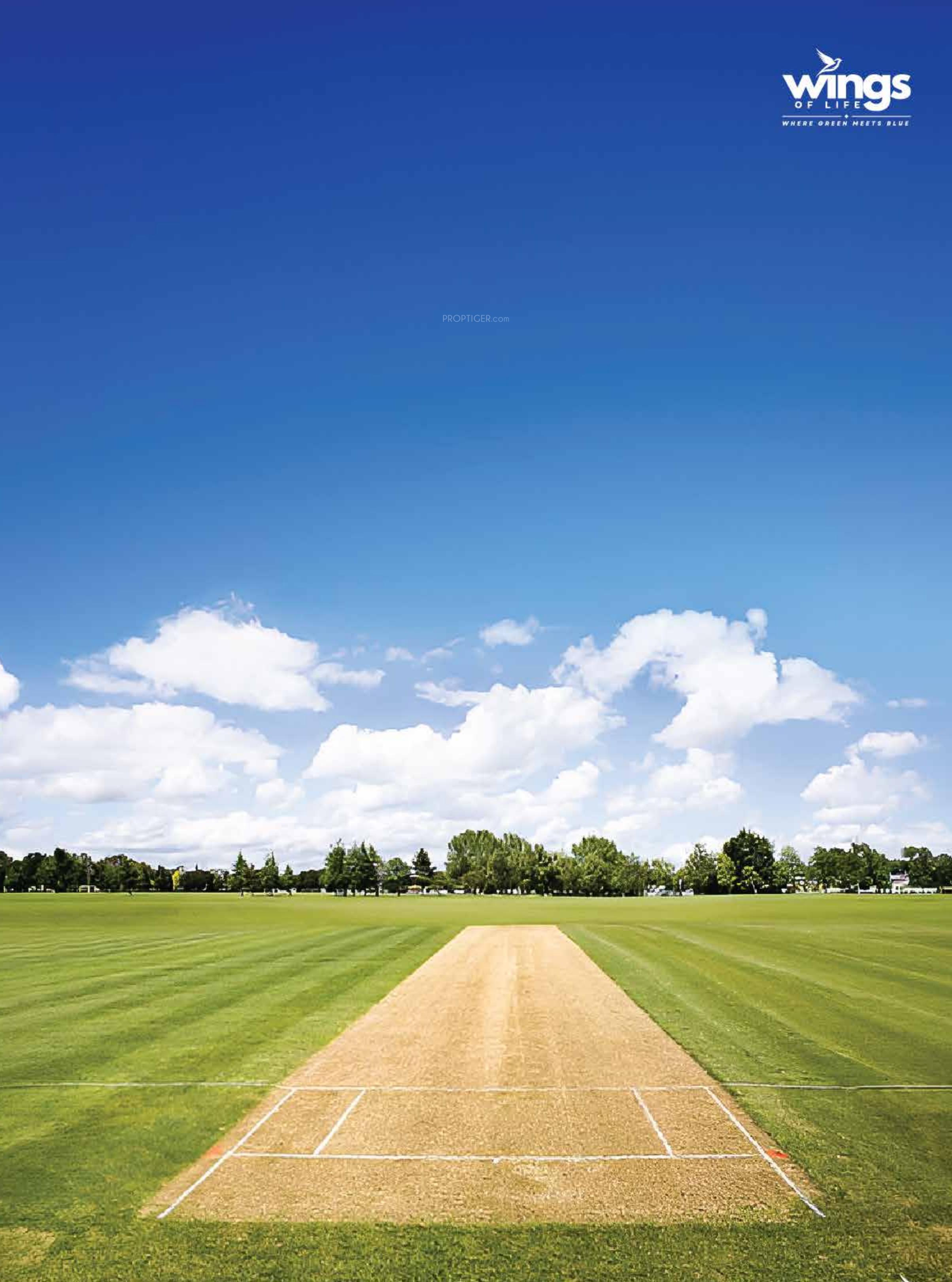 wings Cricket Pitch