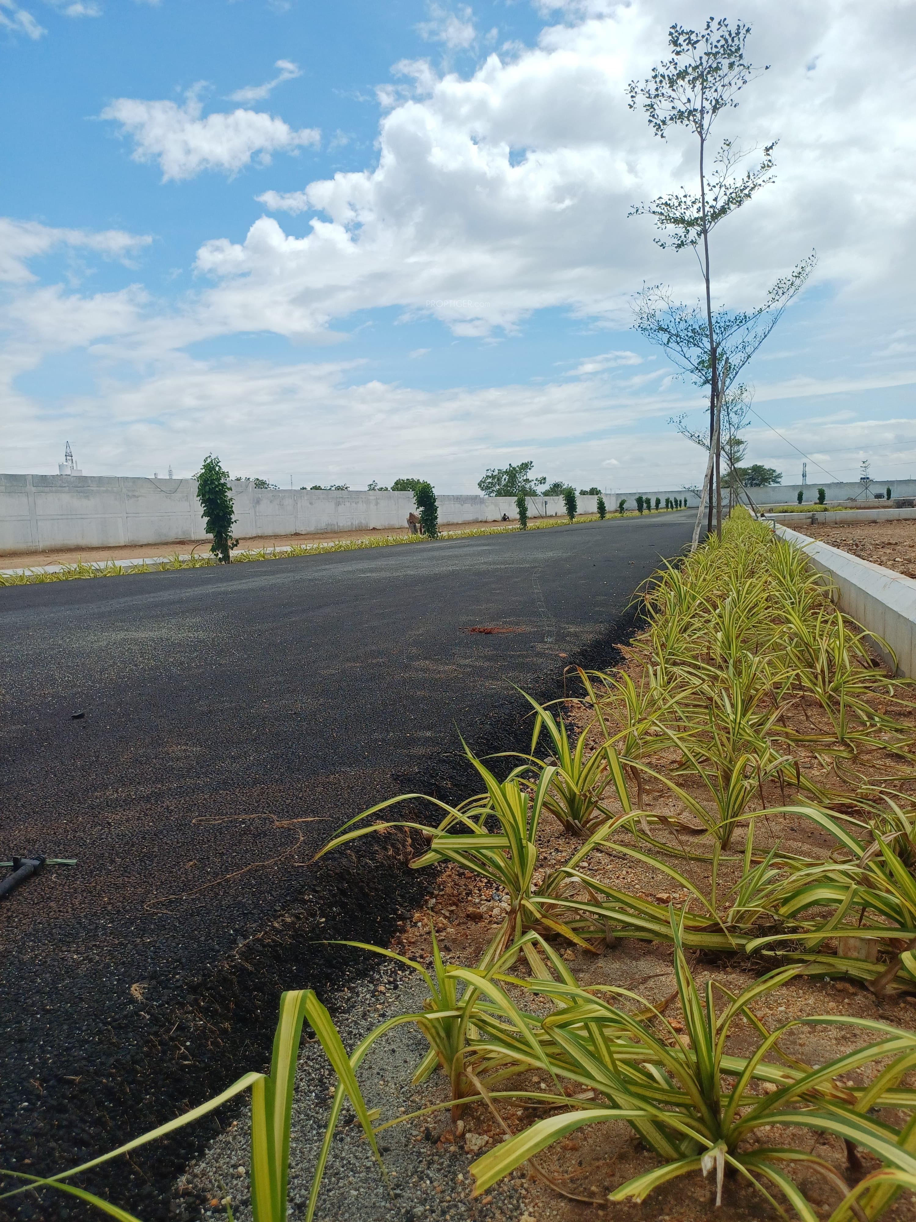 maniway-city Elevation