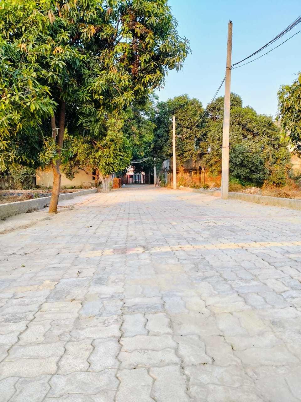 green-city-3 Internal Roads & Footpaths