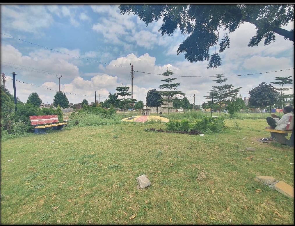 park-extention Landscape Garden and Tree Planting