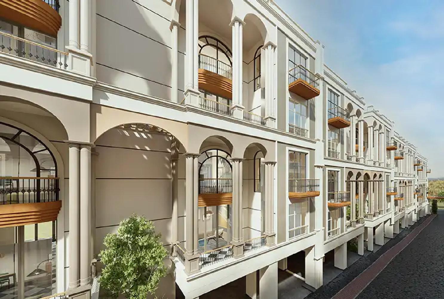 royal-avenue Elevation