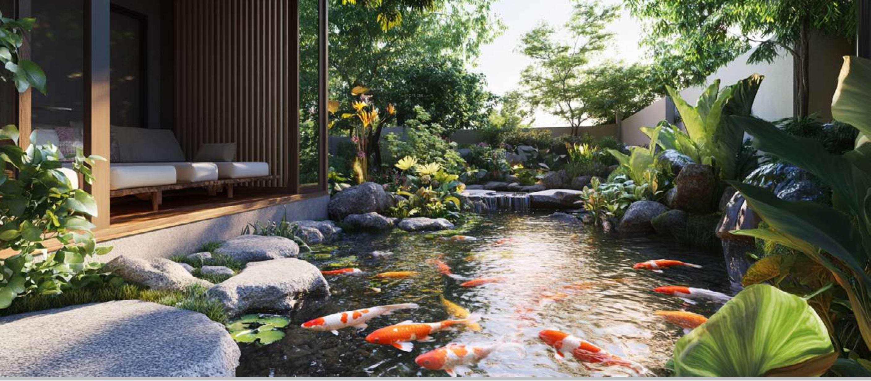 casa-aventis Landscape Garden and Tree Planting