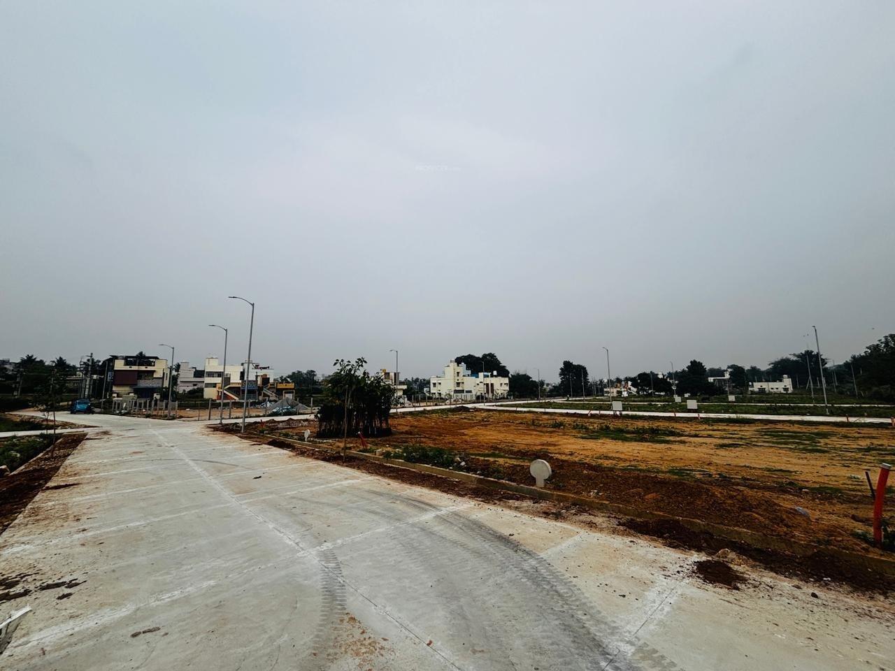 phalguni Plot