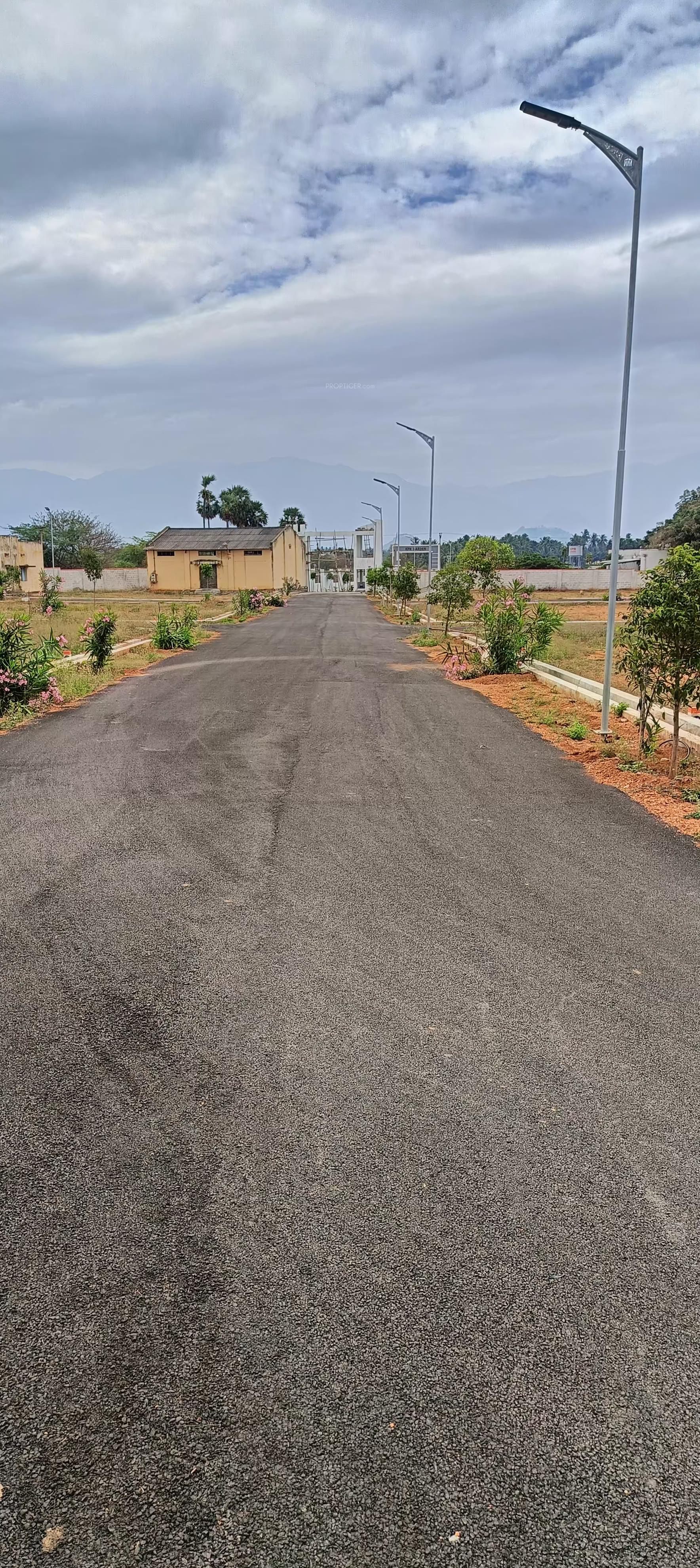 miracle-city Internal Roads & Footpaths