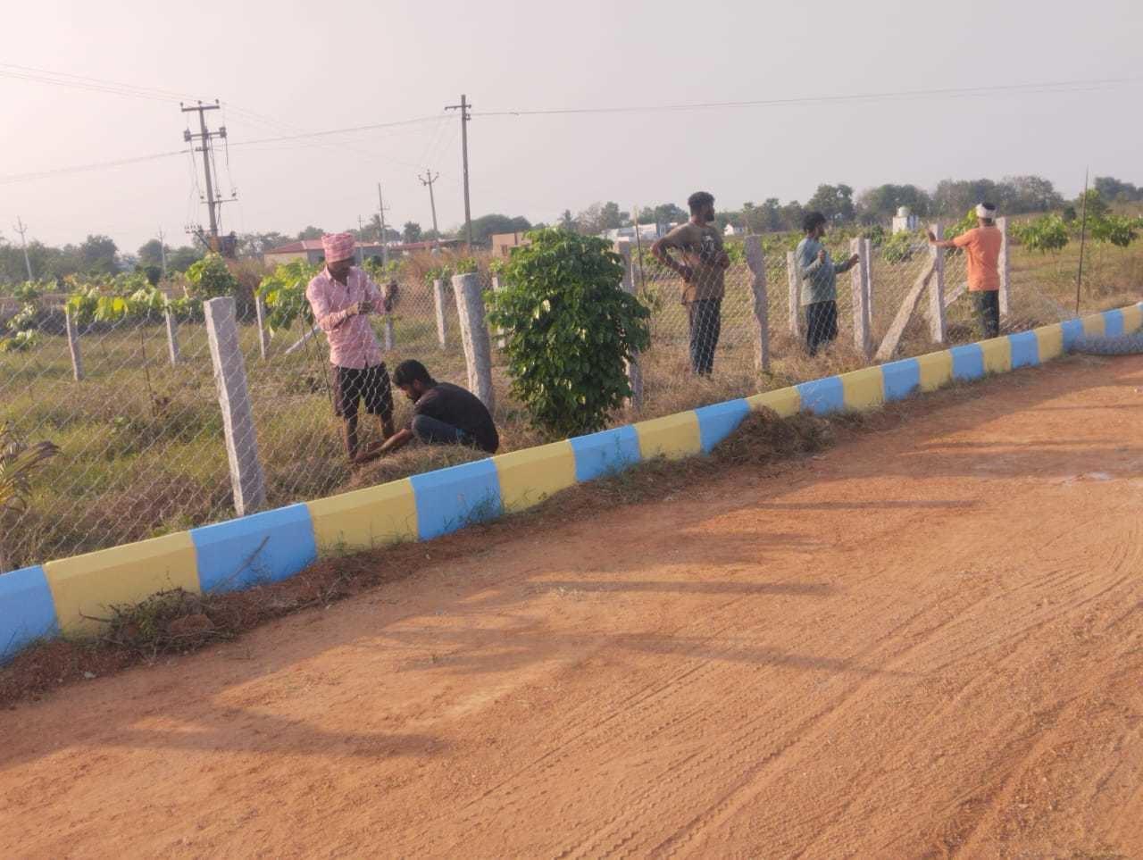 rrr-farms Plot