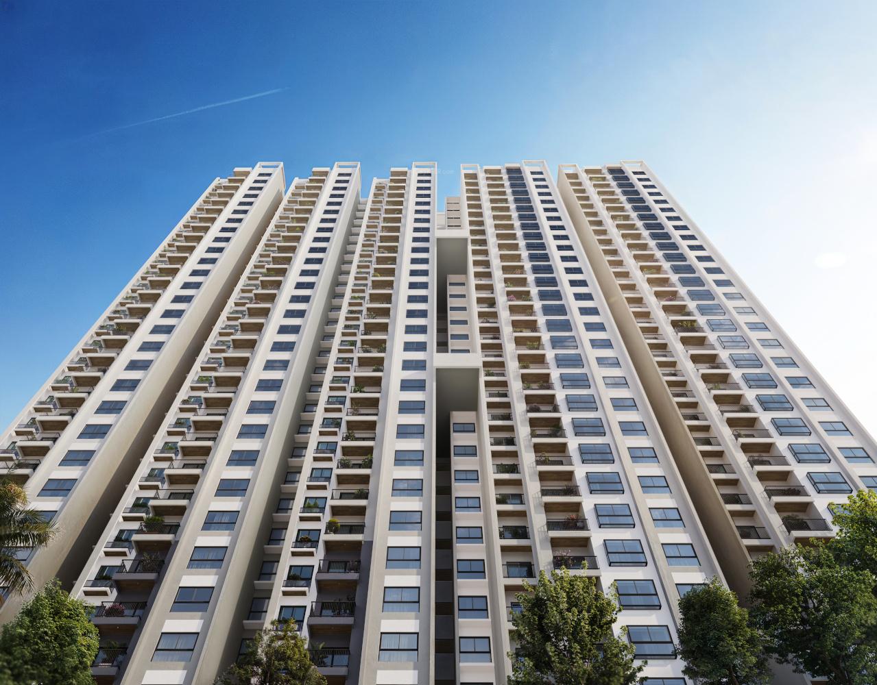 rld-altima Elevation