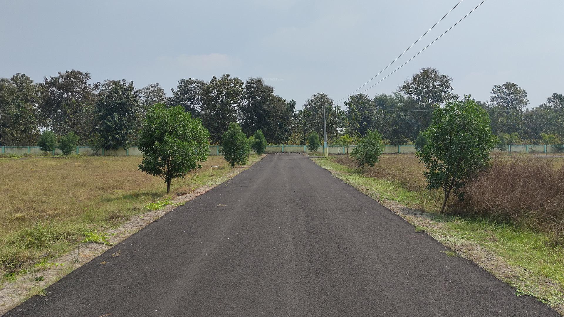 swarna-bhoomi Elevation