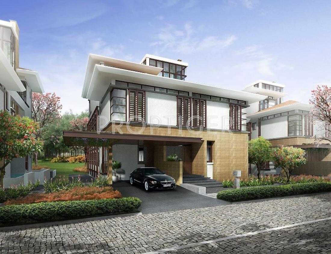 Images for Elevation of Olympia Panache