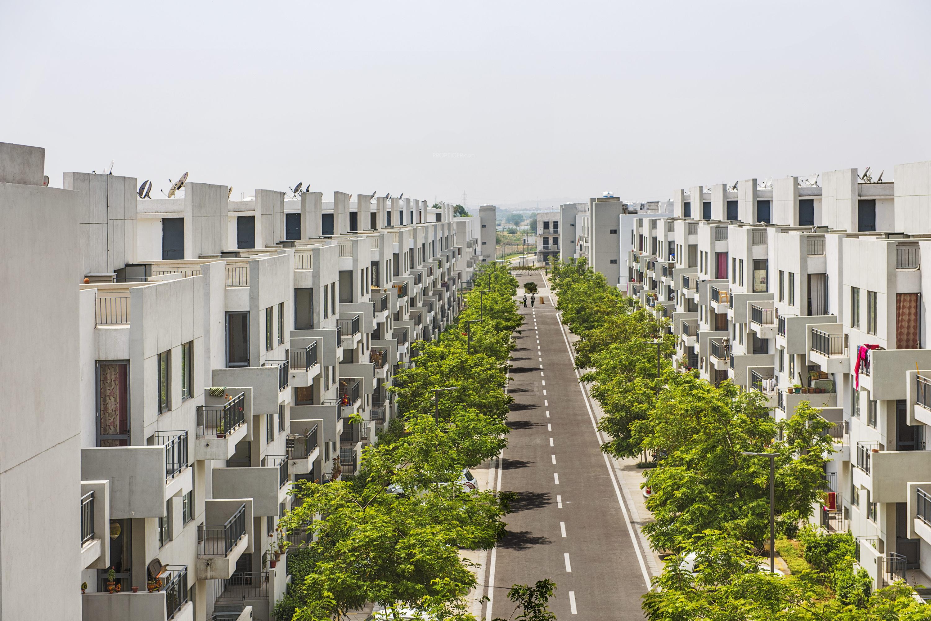 Premium Floors