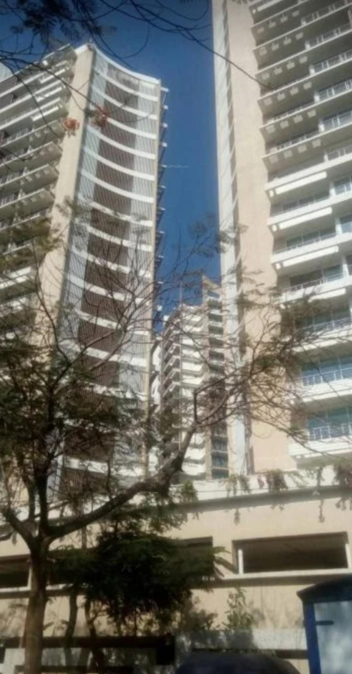 spring-grove Elevation