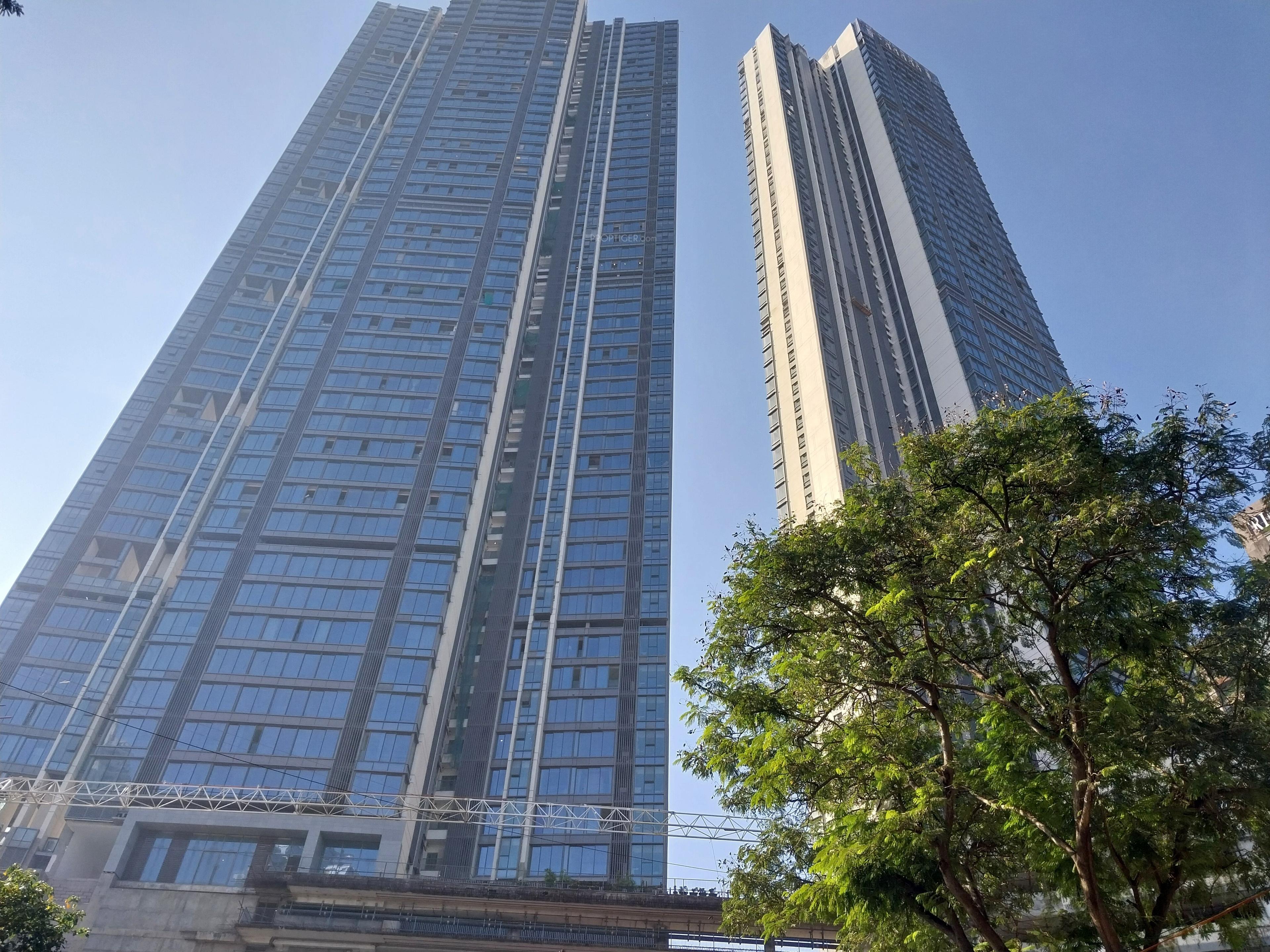 orchid-crown Elevation