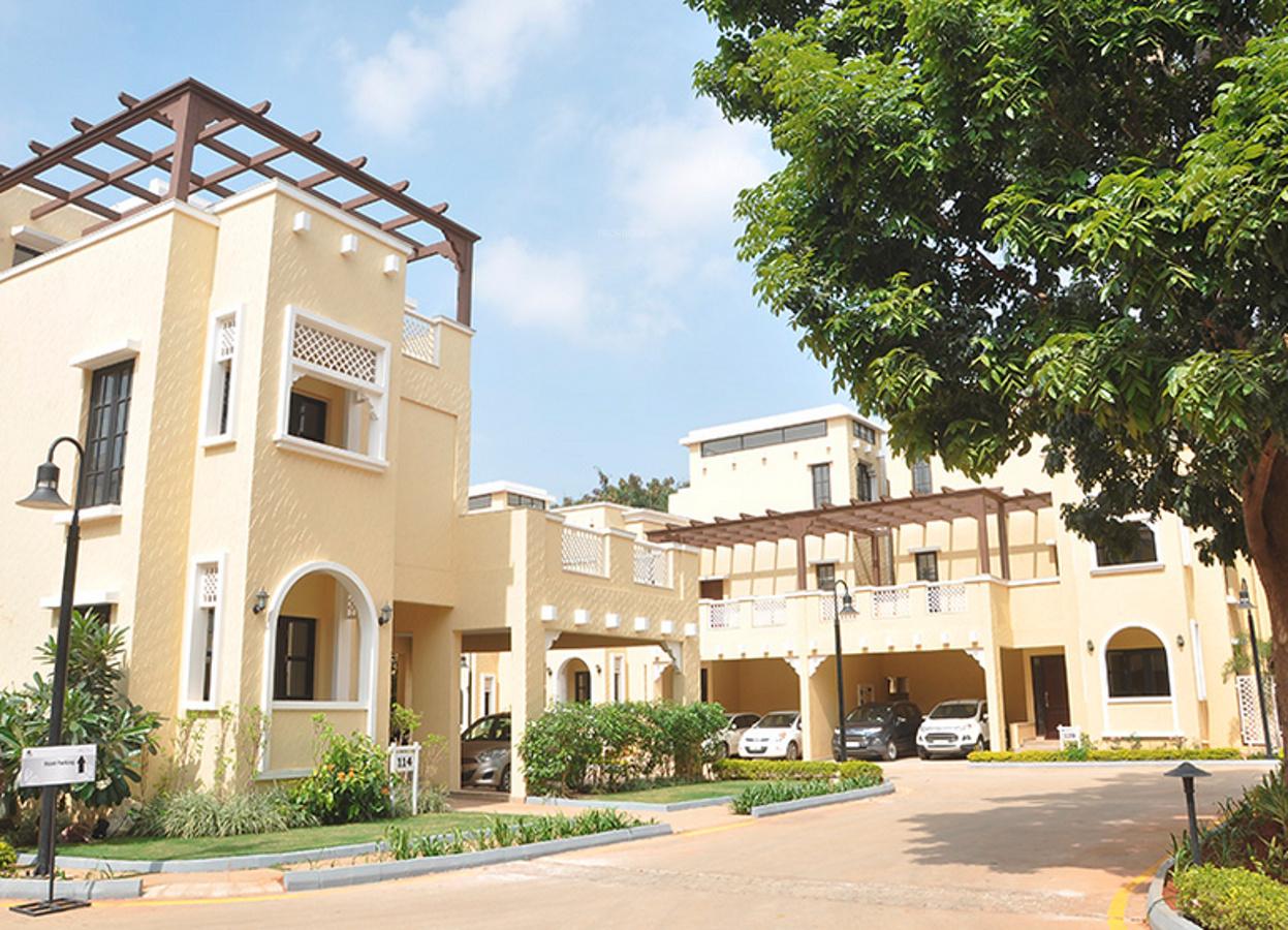 silver-oak Images for Elevation of Prestige Silver Oak