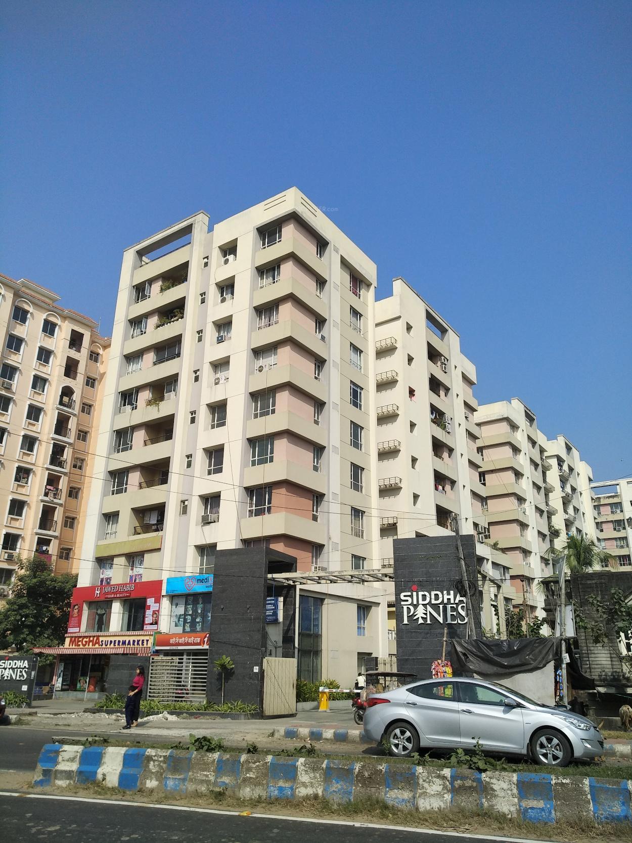 pine-woods Images for Project