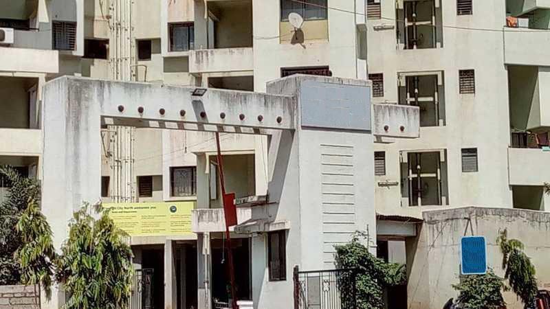 emerald-city Elevation