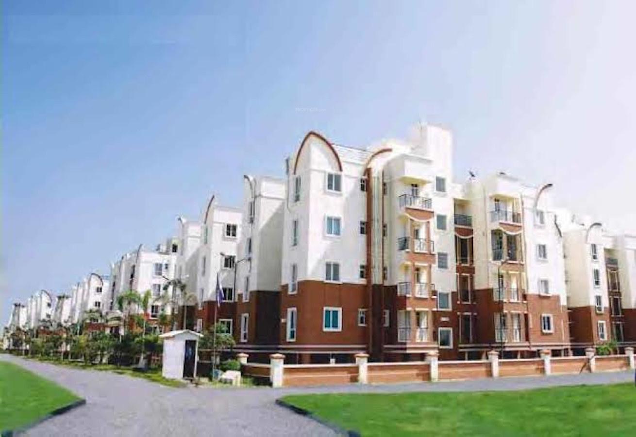dewy-terraces Elevation