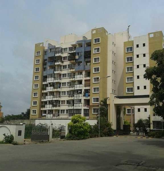 purva-belmont Elevation
