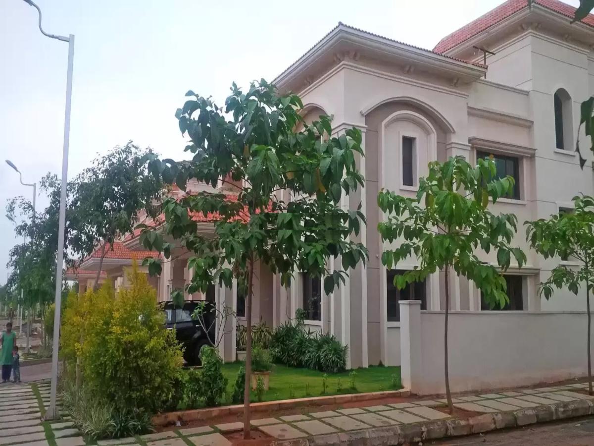 dews-ville Elevation