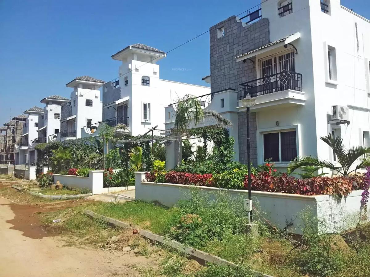 dews-ville Elevation