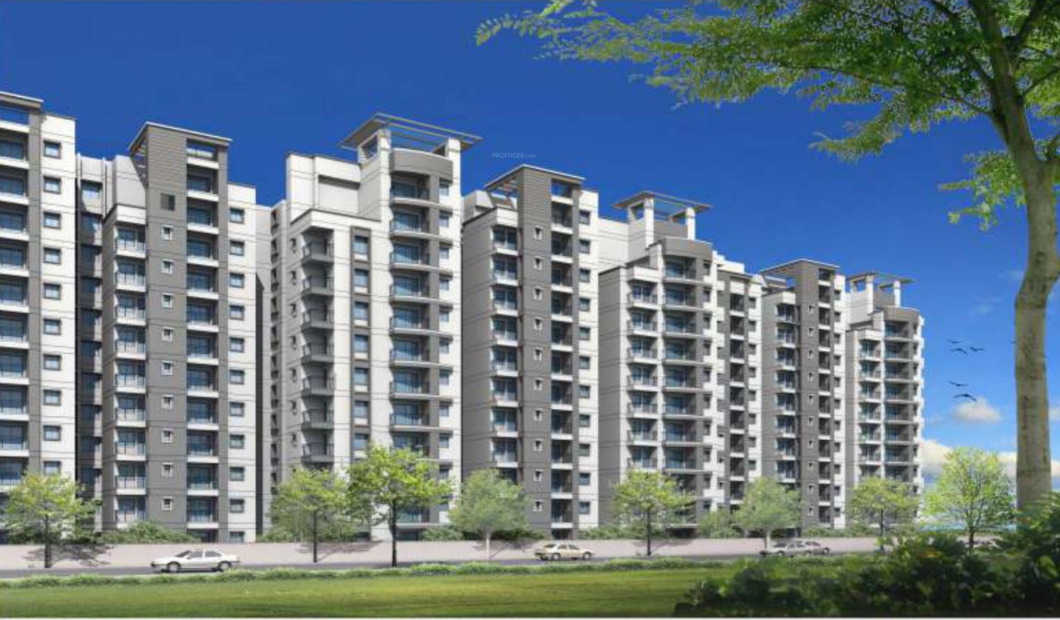Vista Phase 1