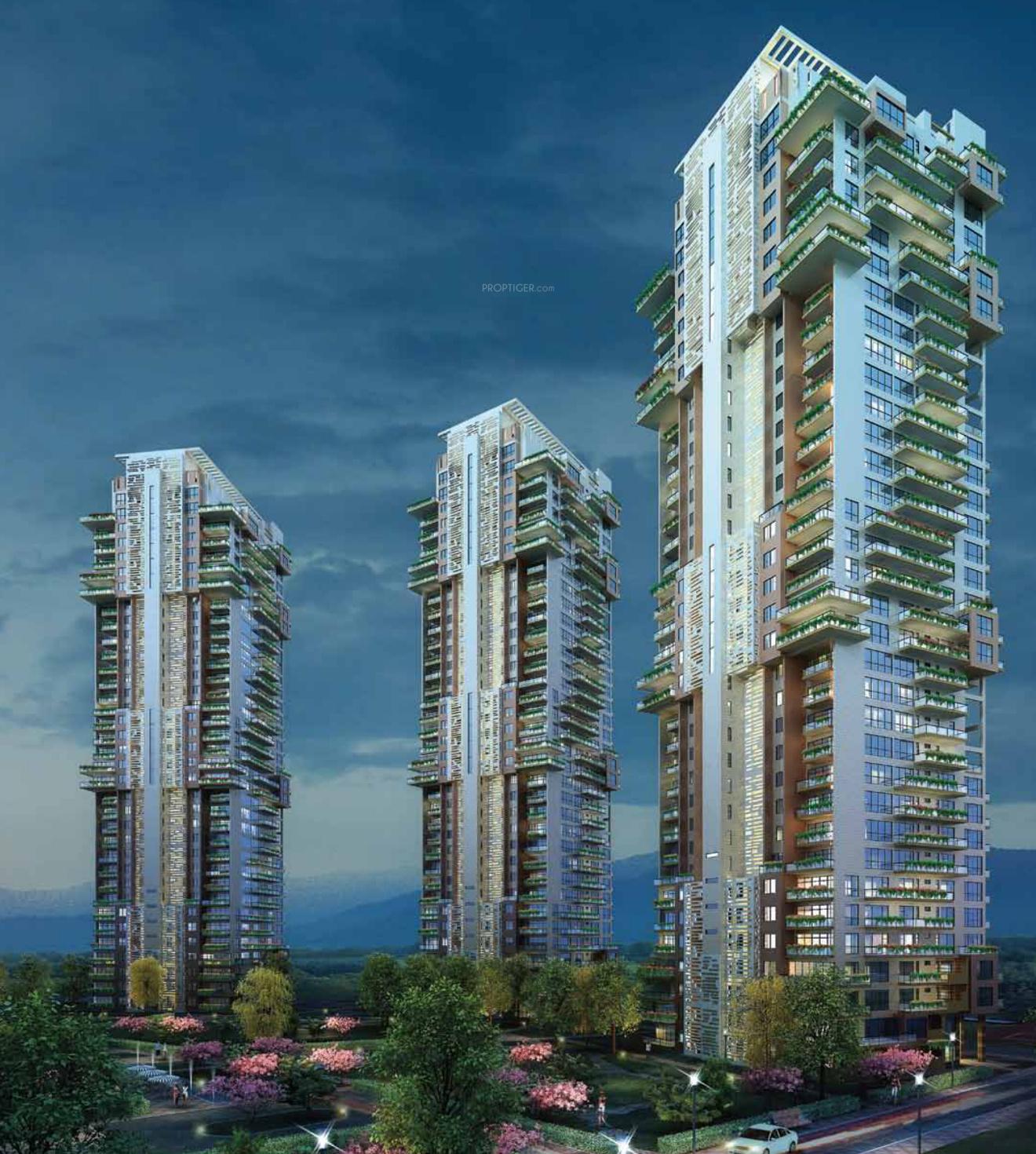 araya Images for Elevation of Pioneer Araya