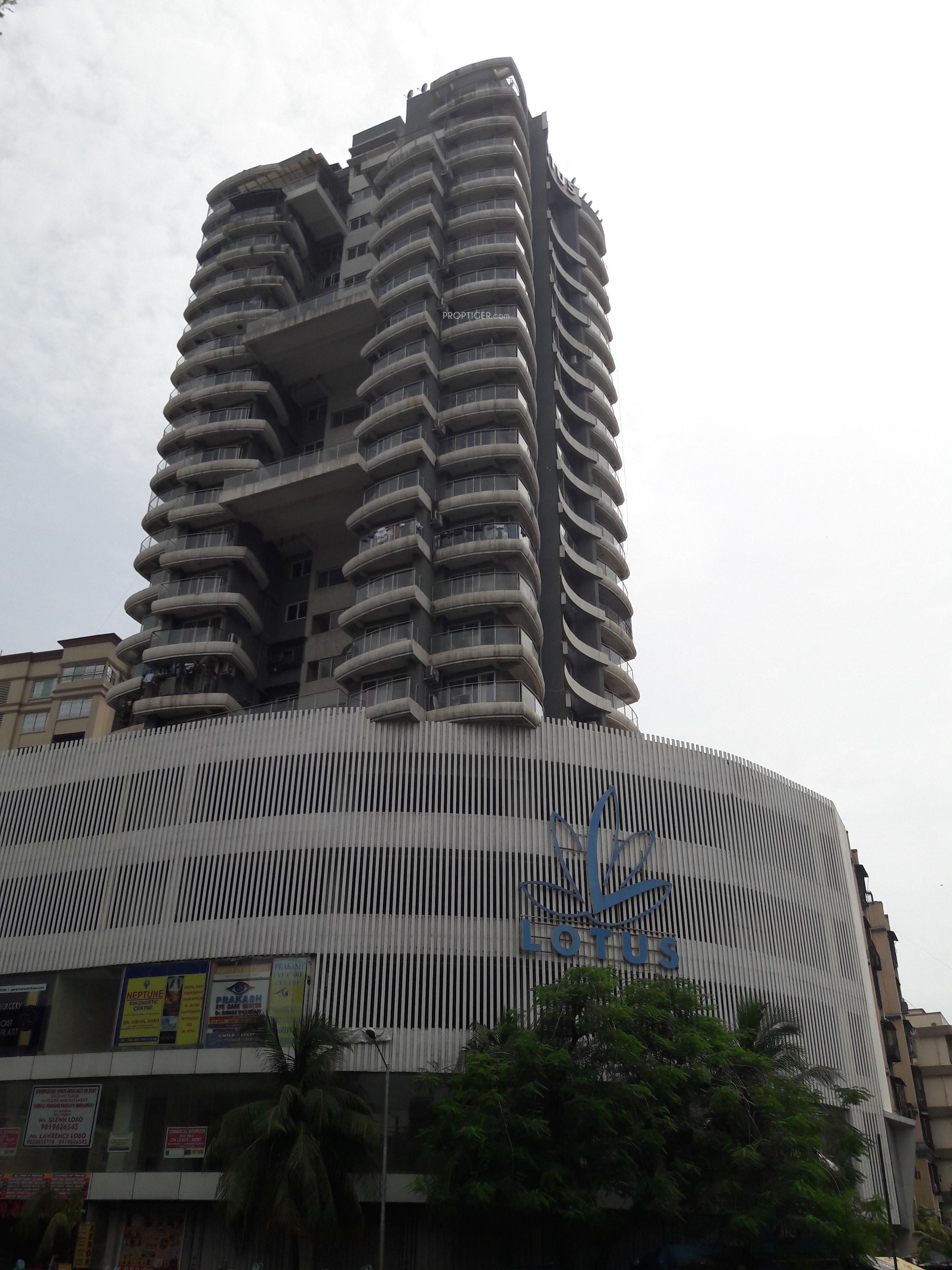 link-square Elevation