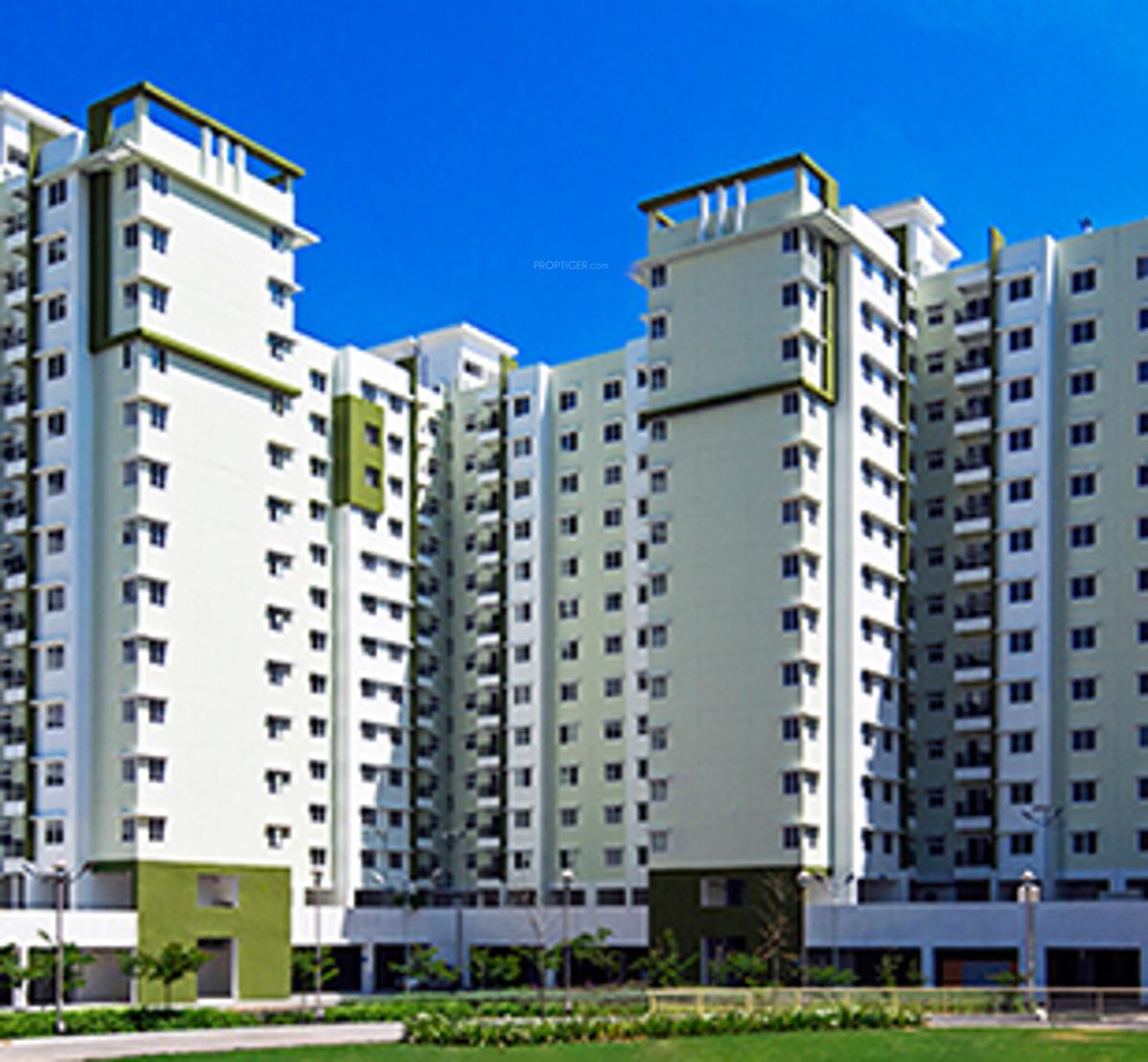 provident-sunworth-city Elevation