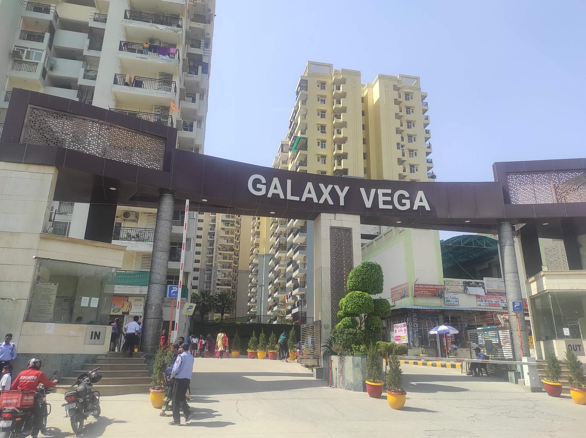 vega Elevation