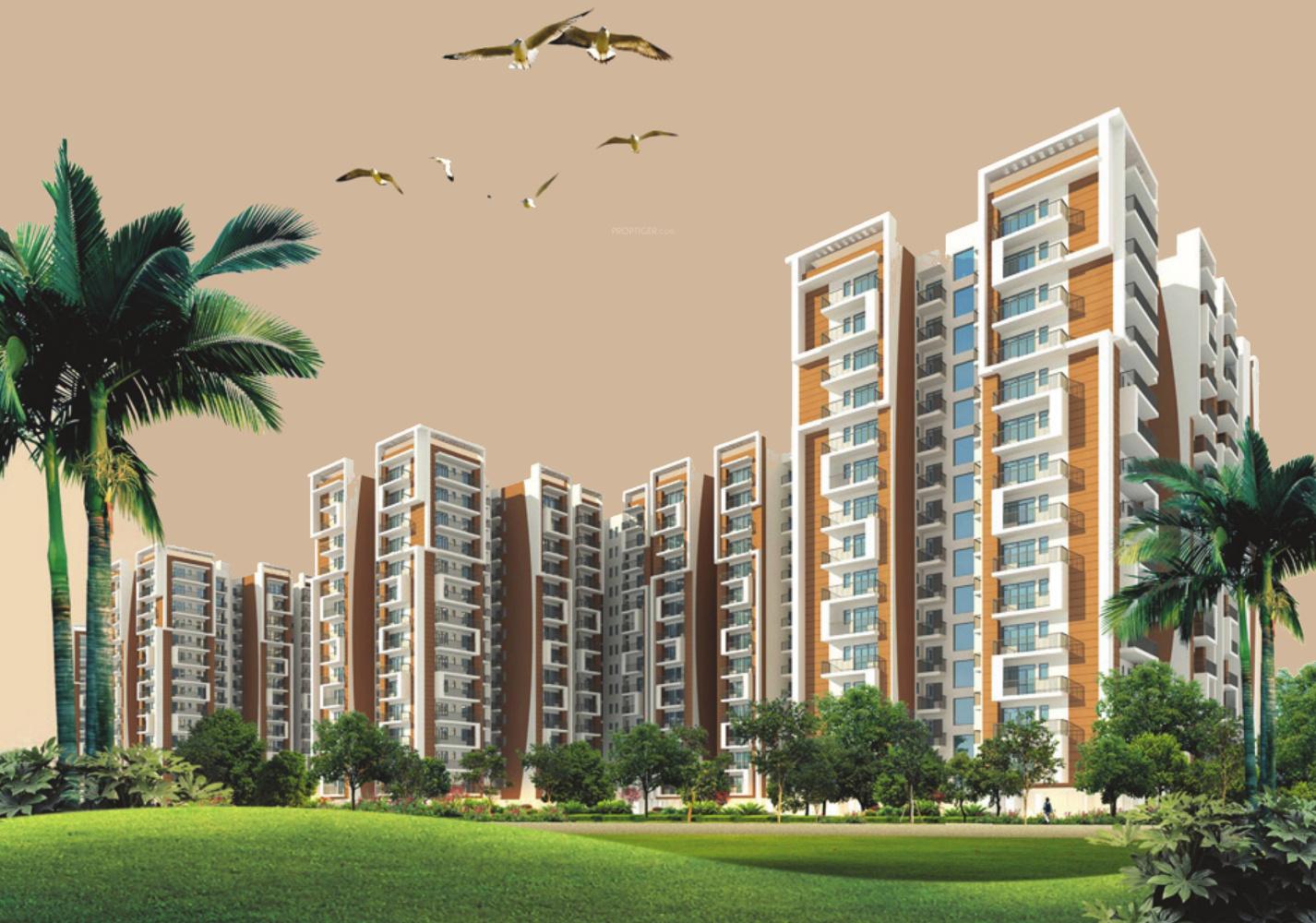 oasis-green Images for Elevation of Magnum Oasis Green