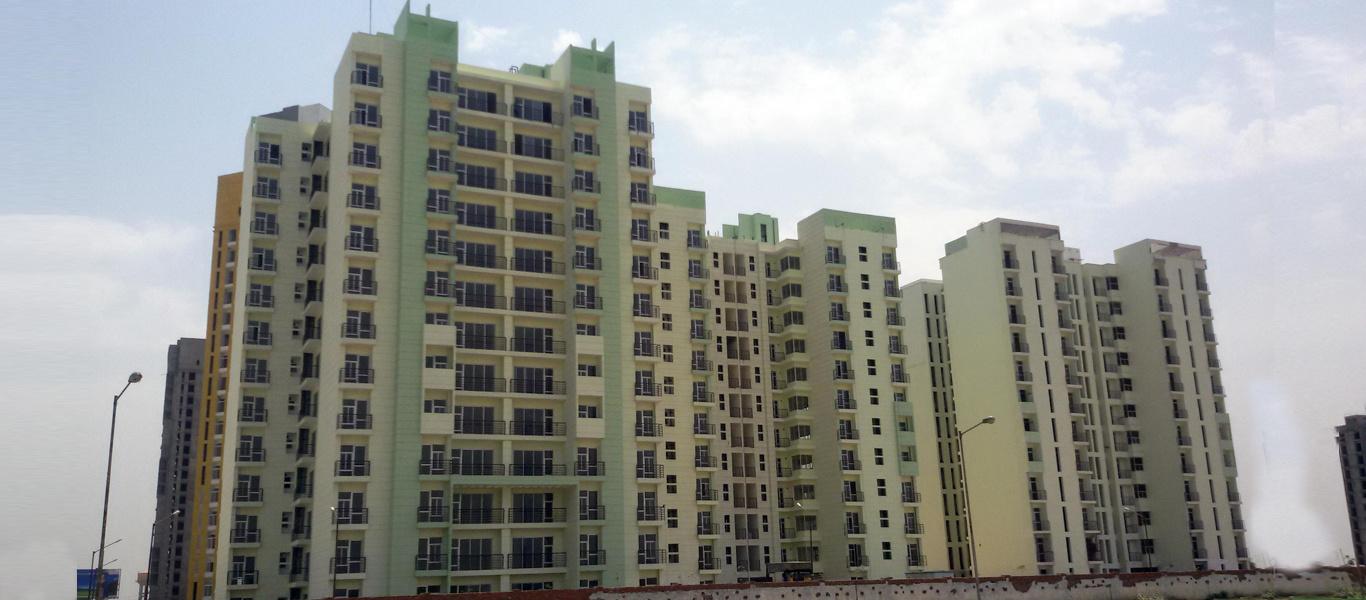 celebrity-meadows Elevation