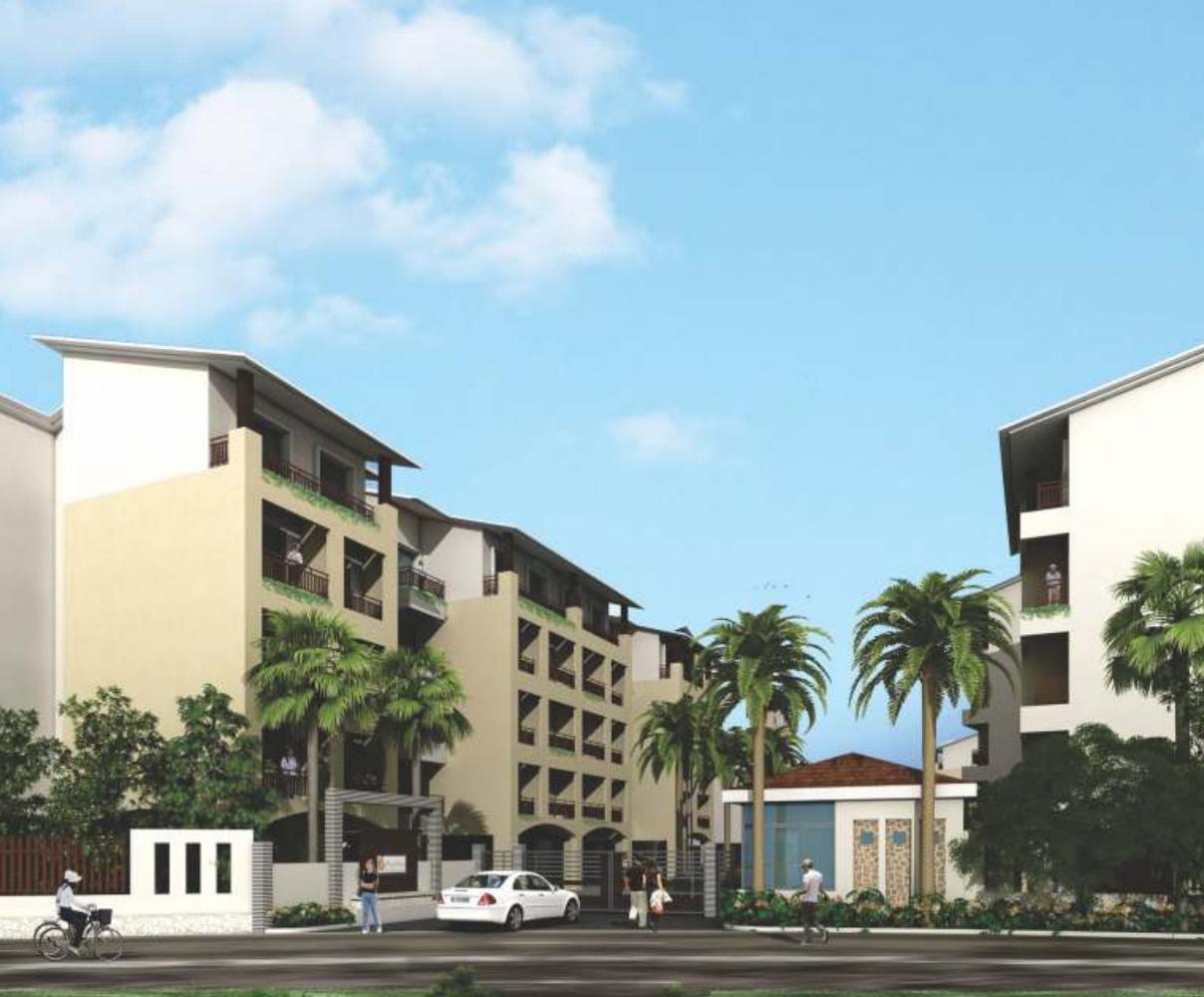 nautilus Images for Elevation of Mark Nautilus