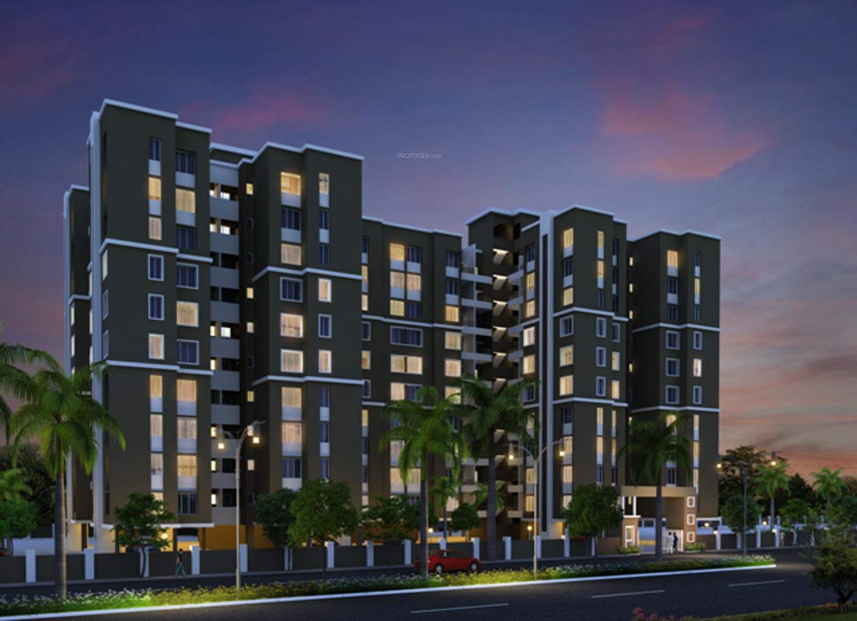 Images for Elevation of Rainbow Revell Orchid