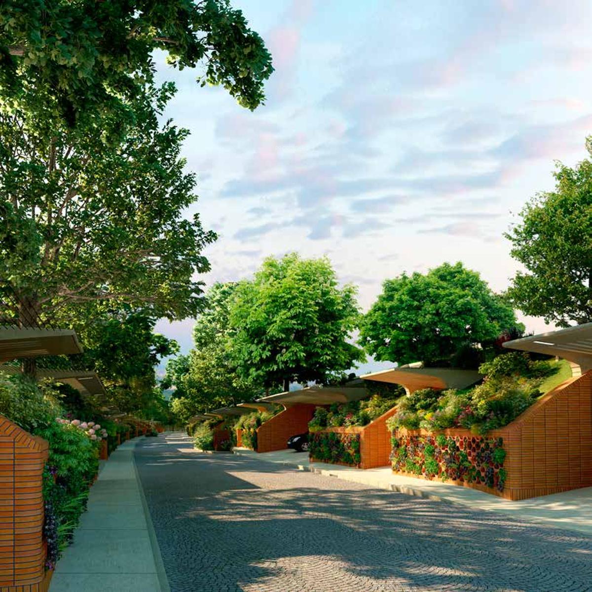 after-the-rain Images for Elevation of Total Environment After The Rain