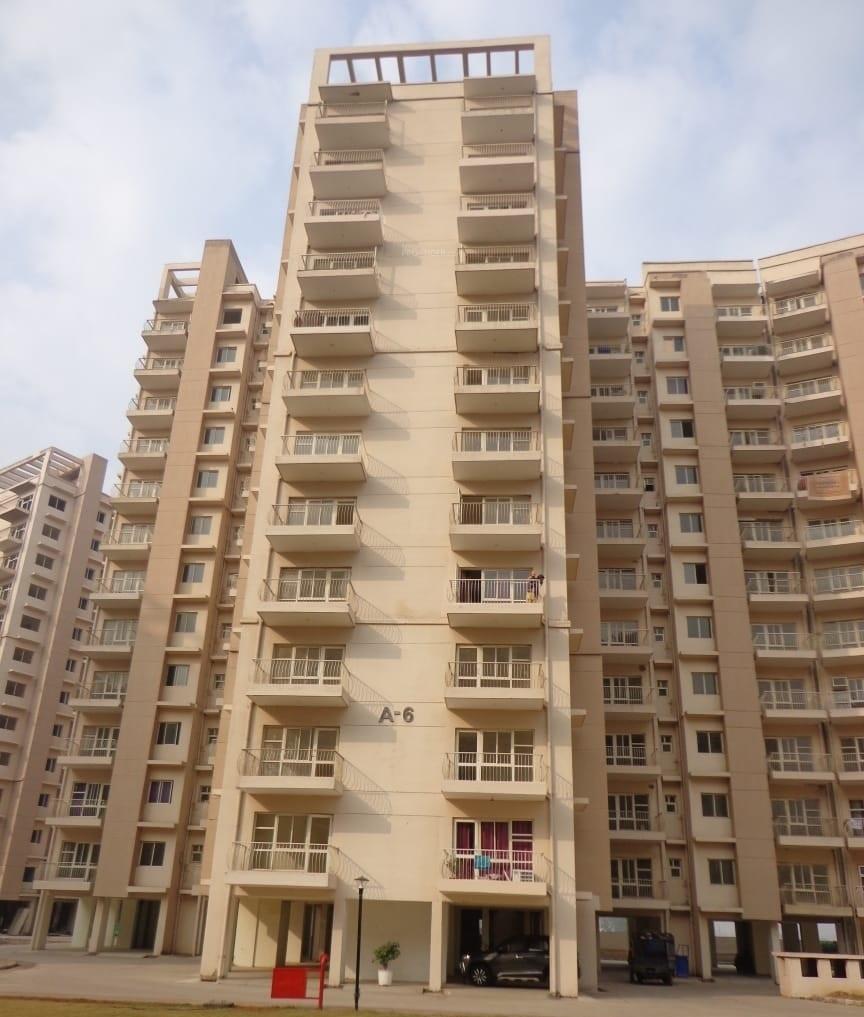 rangoli Elevation