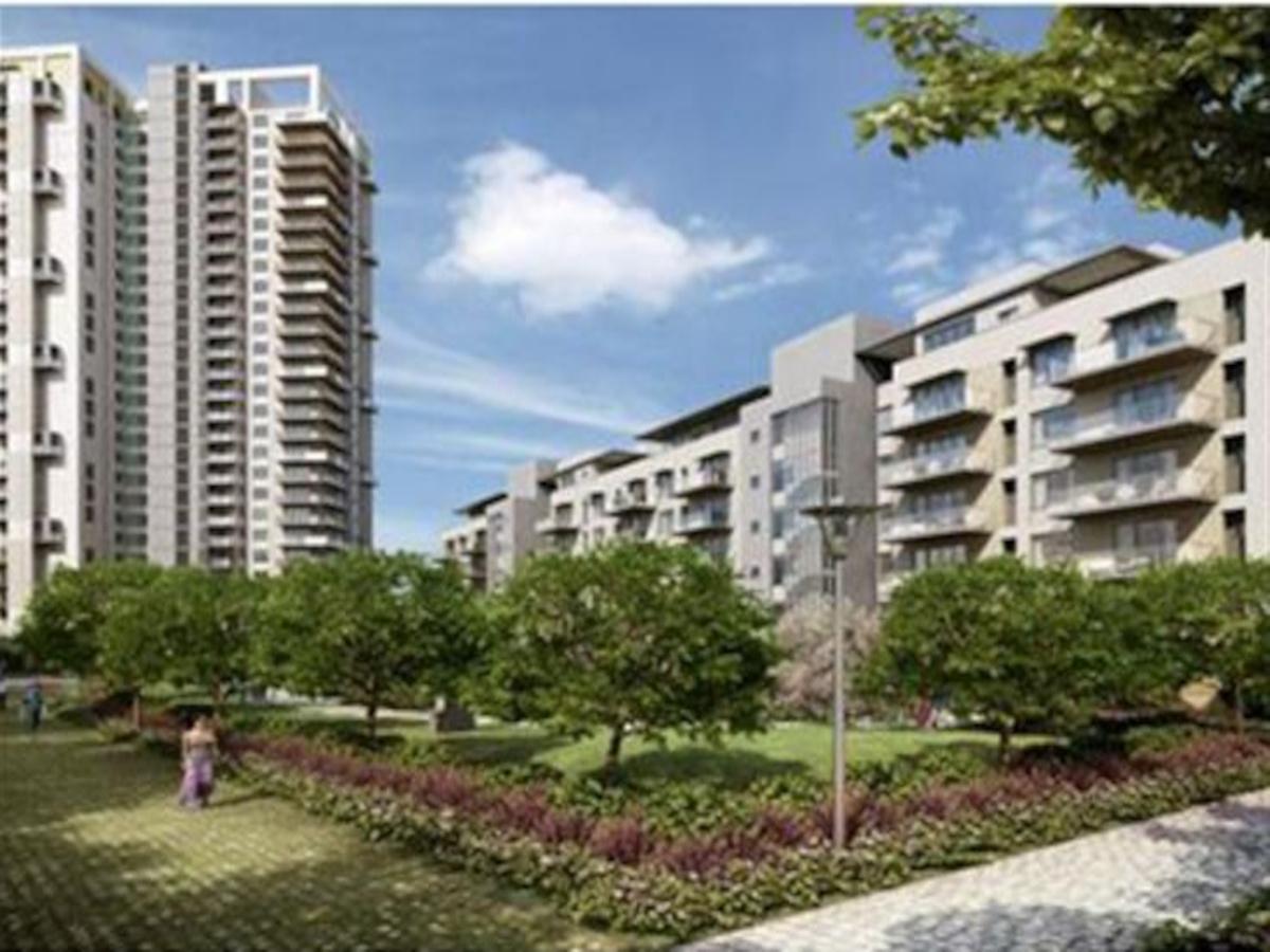 urban-homes Elevation