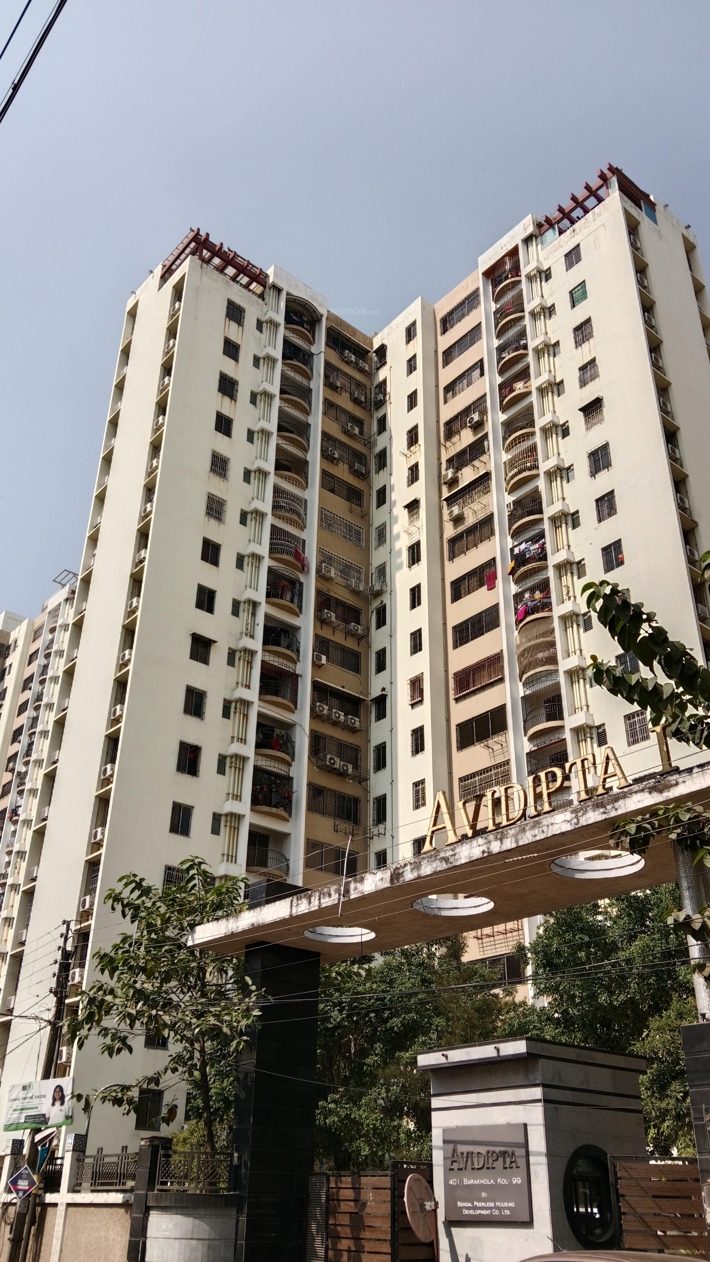 Avidipta