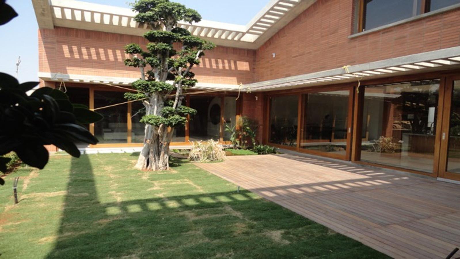 the-meadow-dance Images for Elevation of Total Environment The Meadow Dance