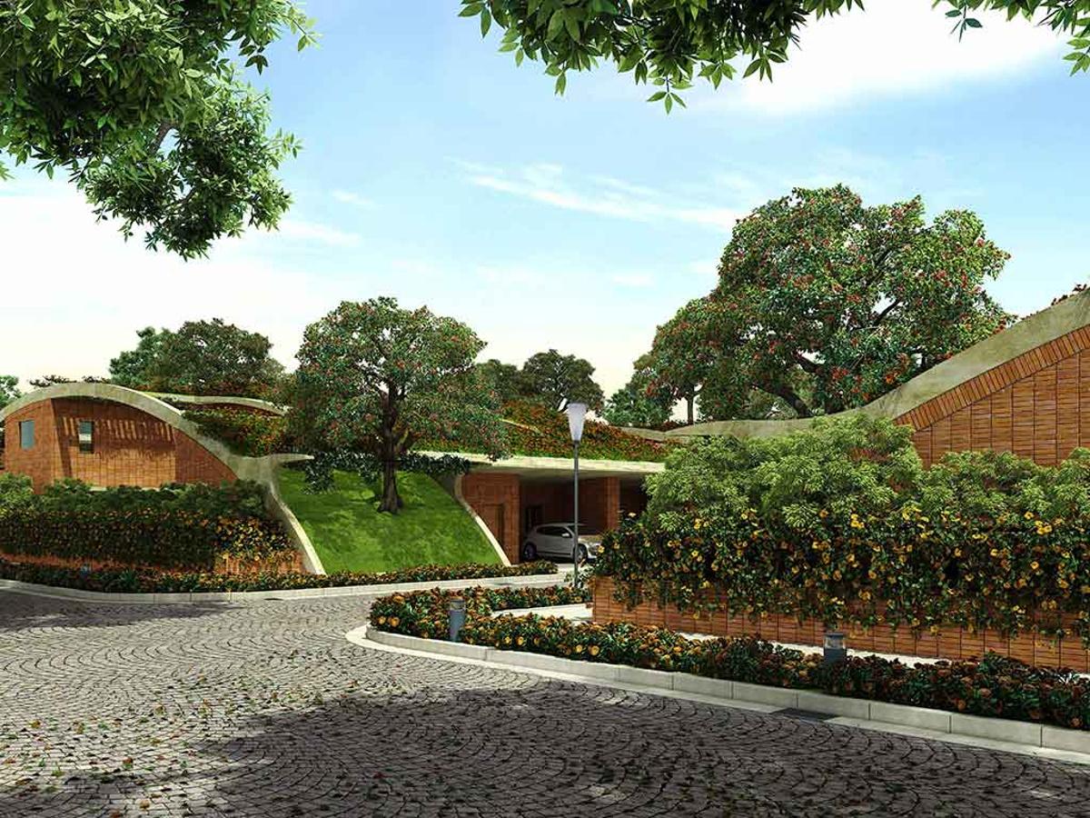 the-meadow-dance Images for Elevation of Total Environment The Meadow Dance