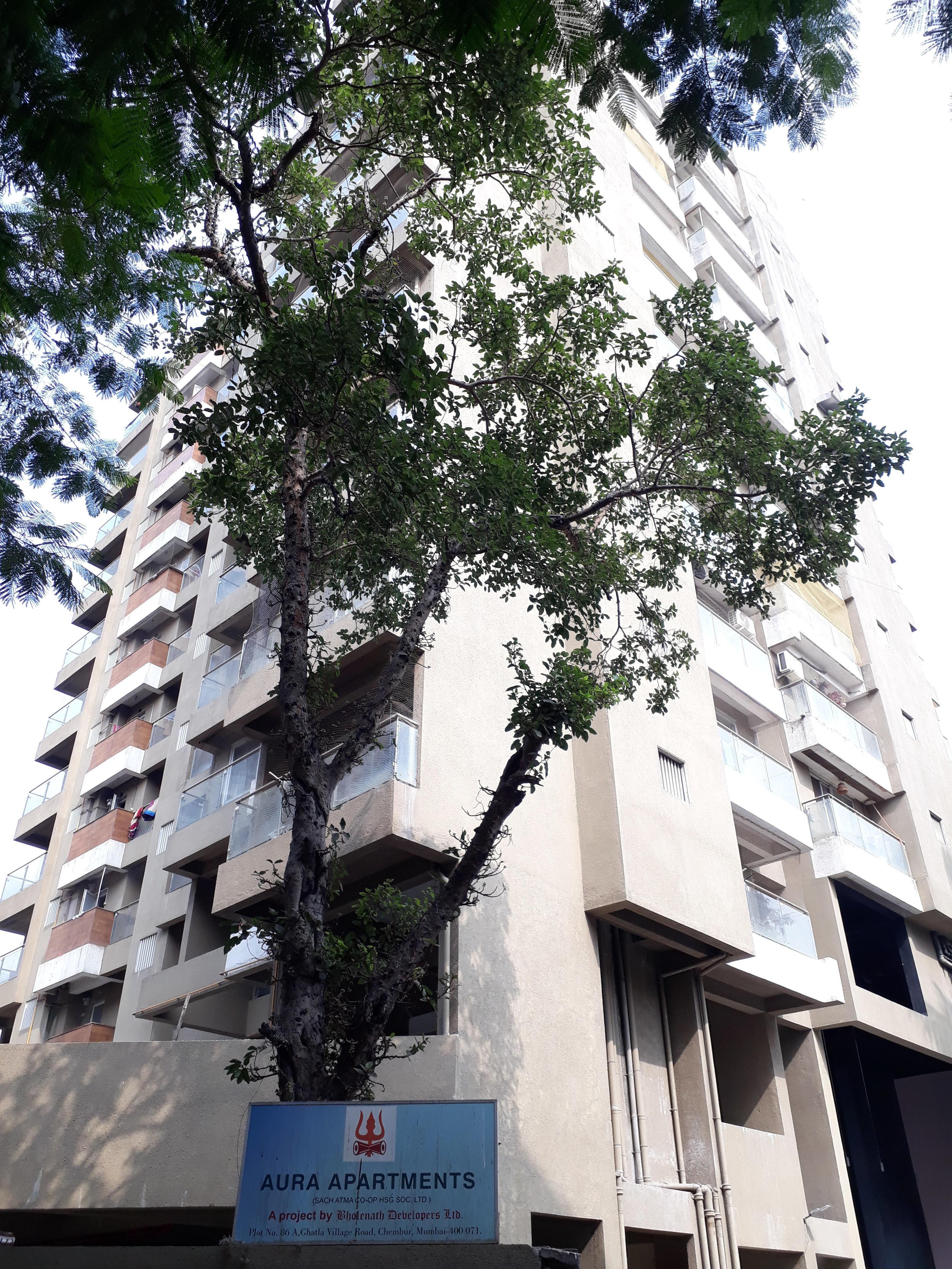 aura-apartment Elevation