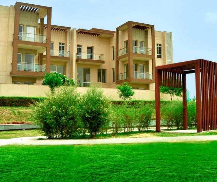 the-westerlies Elevation