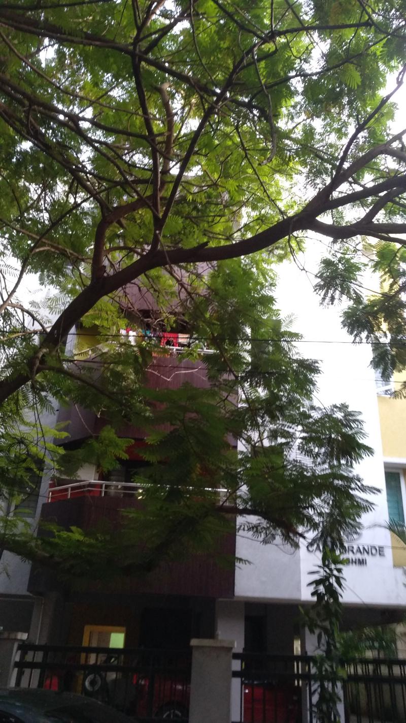 lakshmi Elevation