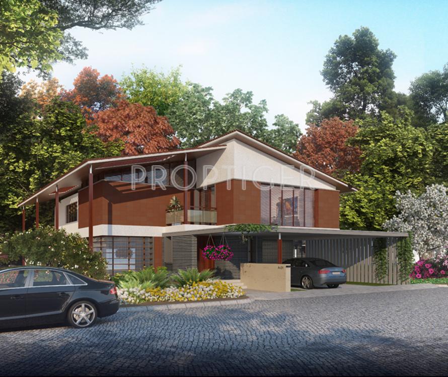 maitri Images for Elevation of Sycon Maitri