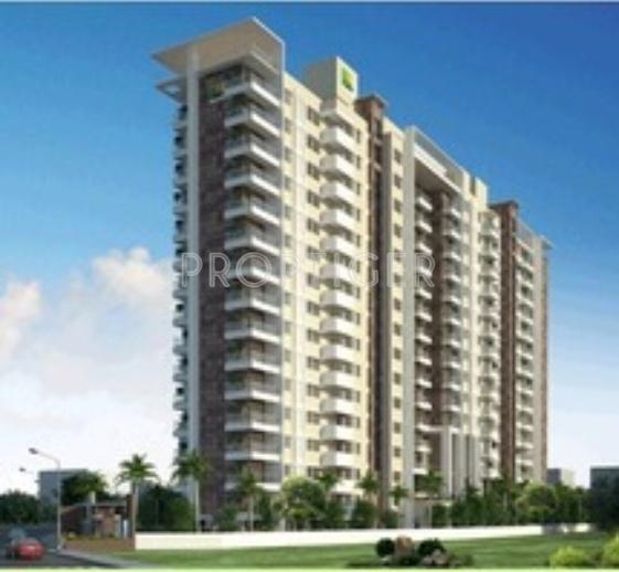 raj-spiritua Images for Elevation of SNN Raj Spiritua