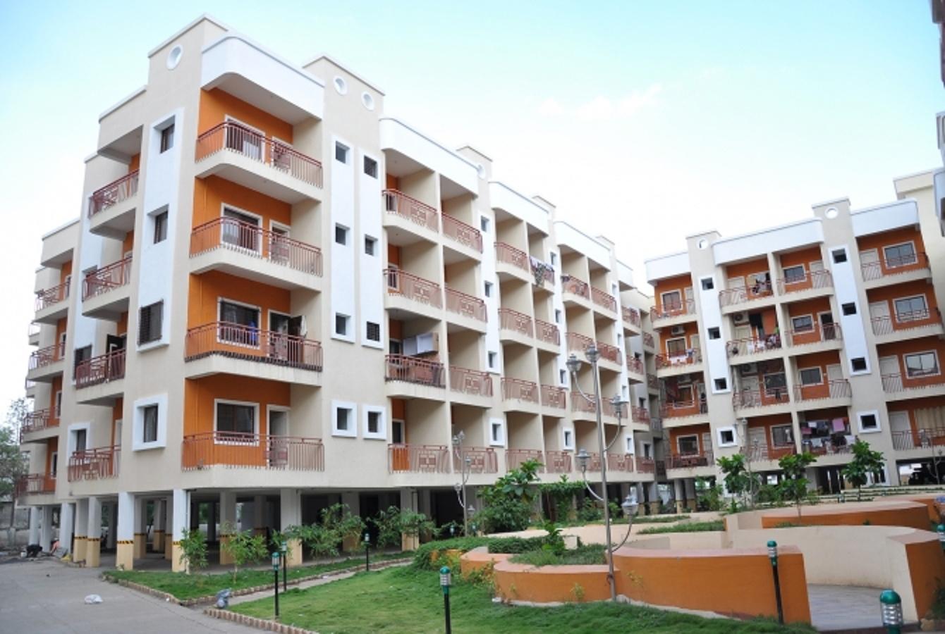 gardenia Elevation