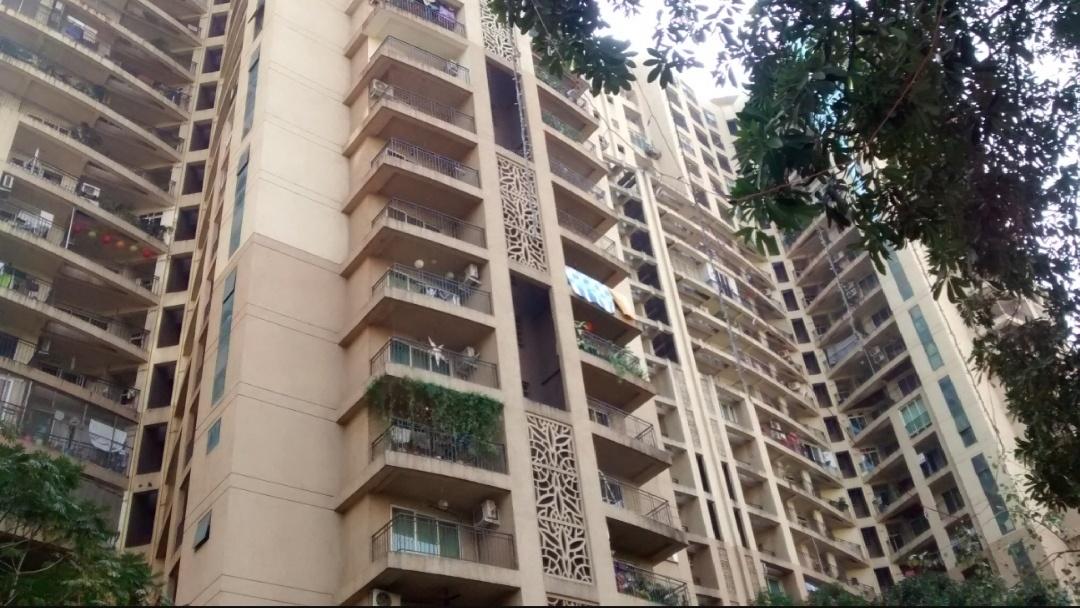 lilium-lantana Elevation