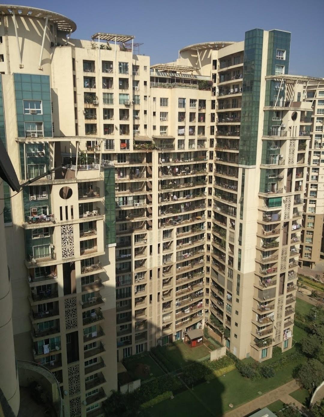 lilium-lantana Elevation