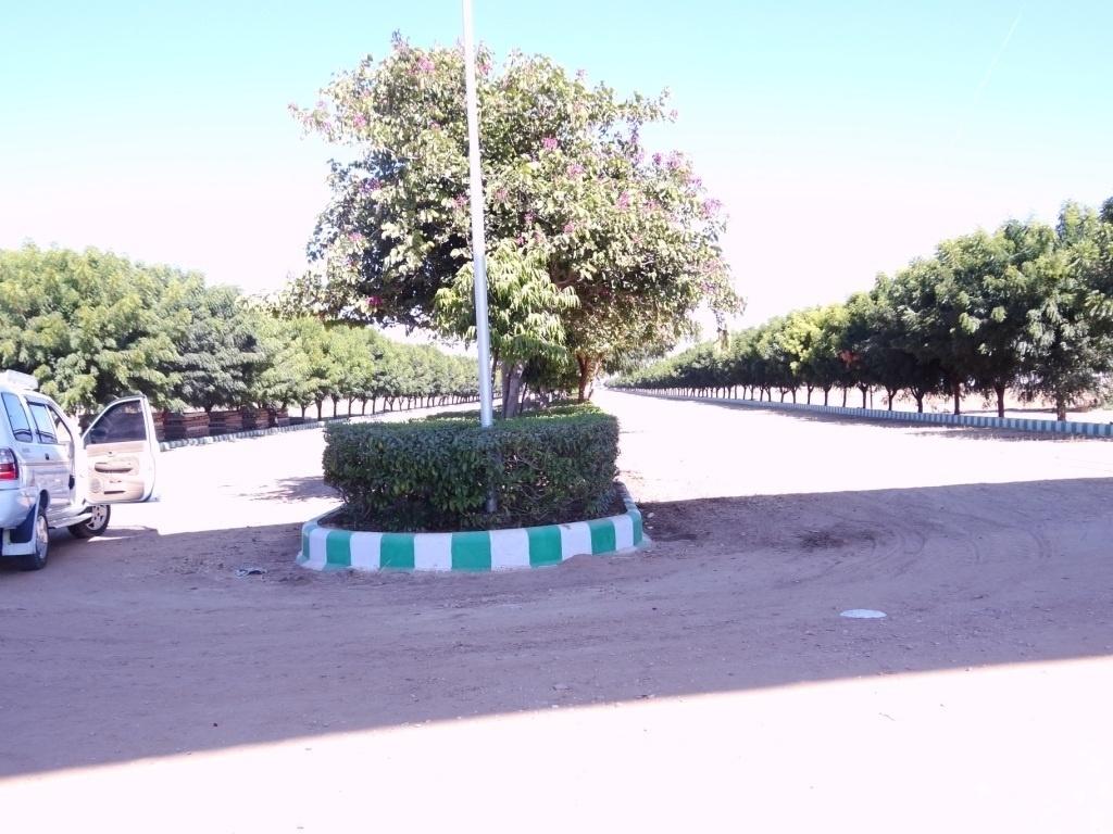 estancia Images for Main Other of Felicity Estancia