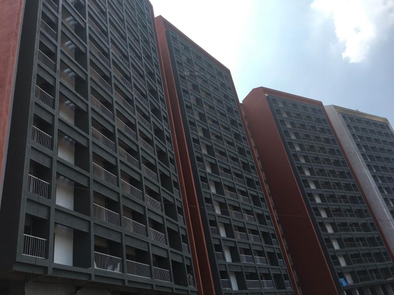 grande Images for Elevation of Plama Grande