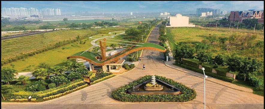 the-westerlies-plots Images for Elevation of Experion The Westerlies Plots